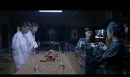 国产观看视频,精彩瞬间回顾