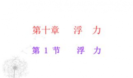 浮力第17页国产,浮力原理在现代工程应用中的关键作用