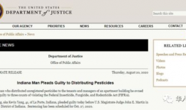 国产华人在线,探索中国互联网文化新篇章