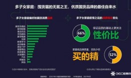 国产37页,深度解析我国科技发展的新篇章