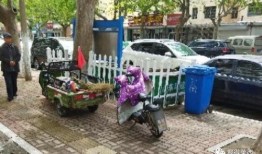 国产乱一区,揭秘国内影视产业的独特魅力与挑战