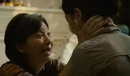 国产一级大片毛片,揭秘毛片背后的激情与梦想