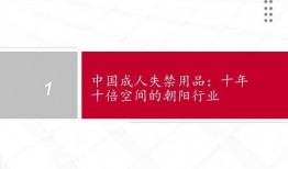 国产37页,深度解析我国科技发展的新篇章