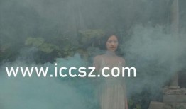 国产中文字幕不卡在线,国产中文字幕不卡在线解析