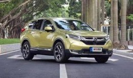 国产v,引领科技潮流，打造民族品牌新标杆