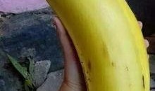 大香蕉国产91,揭秘国产影视的崛起之路