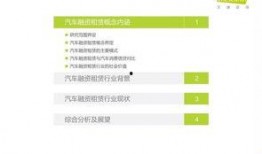 国产51页,揭秘中国科技发展的新篇章