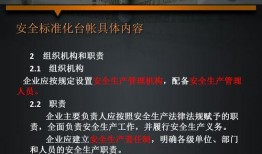 国产45页,揭秘我国科技发展的新篇章