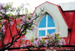 丁香五月国产,国产生态的生机盎然